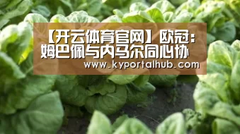 【开云体育官网】欧冠:姆巴佩与内马尔同心协力,最终巴黎力擒利物浦(图2) KAIYUN体育