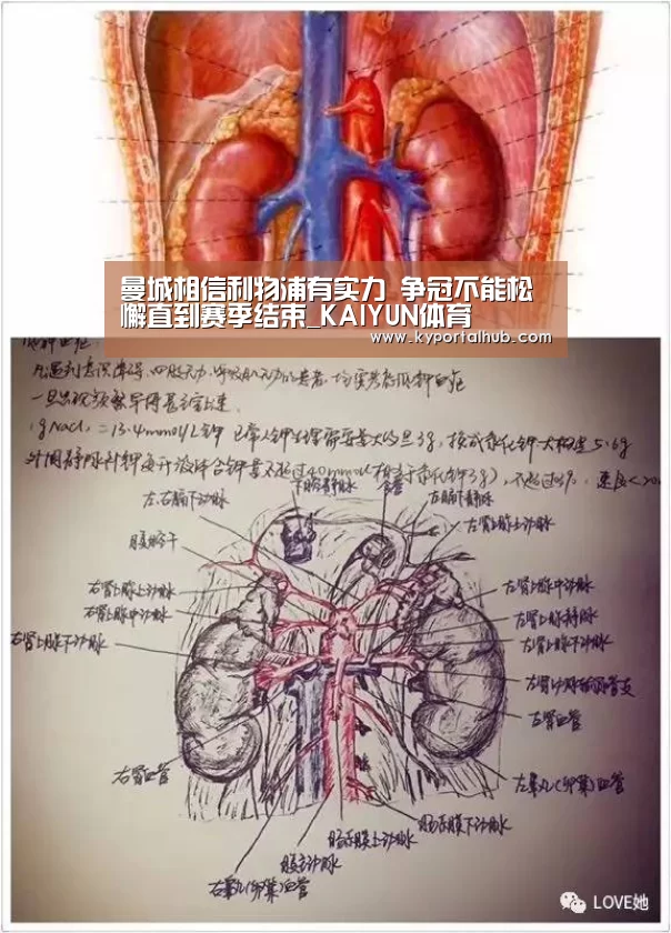 曼城相信利物浦有实力 争冠不能松懈直到赛季结束_KAIYUN体育(图2) 开云官方网站